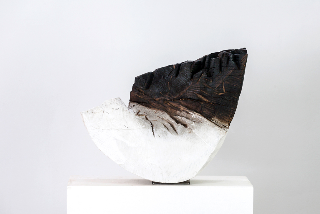 9 Fundstück II Buche gebrannt